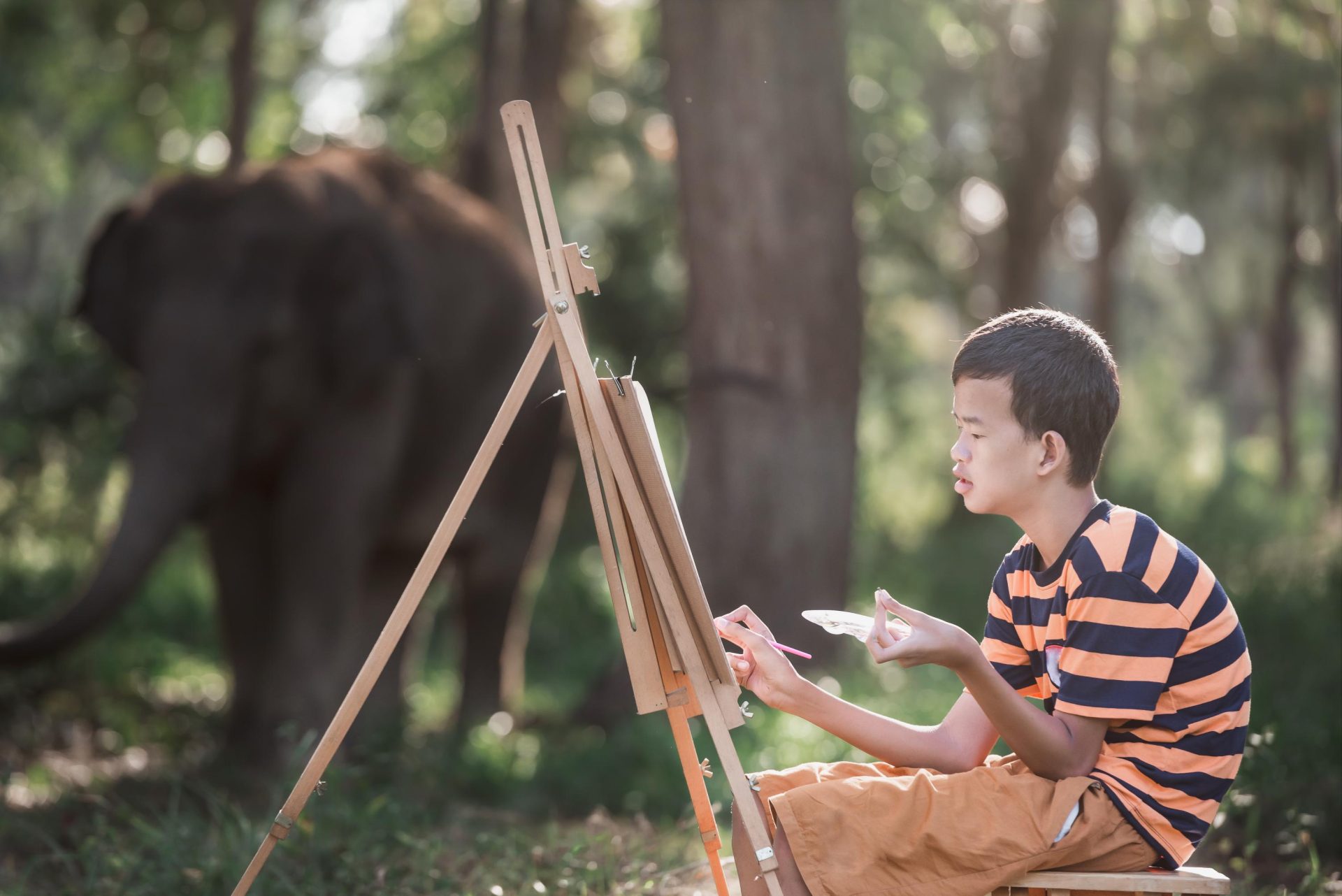 Boy with tailored assistance needs drawing out in nature with elephant in the background